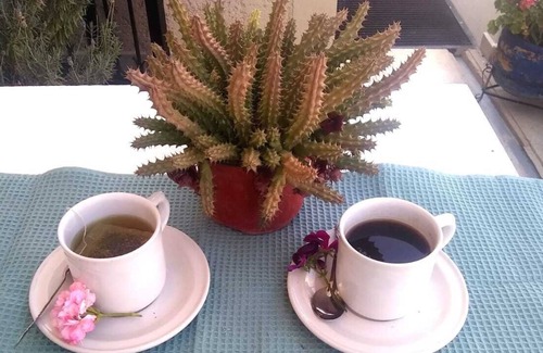 Zona Centro Other | Habitación Privada "colibrí". ¡A 10 Minutos del Centro Histórico!