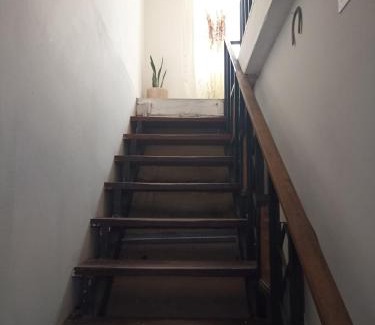 Chihuahua House | Habitacion Amatista