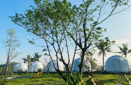 District 9 Other | Habivillage