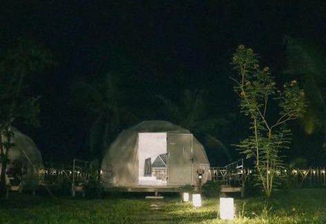 District 9 Other | Habivillage