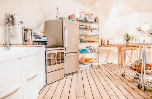 Tlell Cabin | Haida Gwaii Glamping - Rainforest