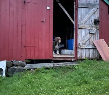 Hadsel House | Hanøya- Vesterålen