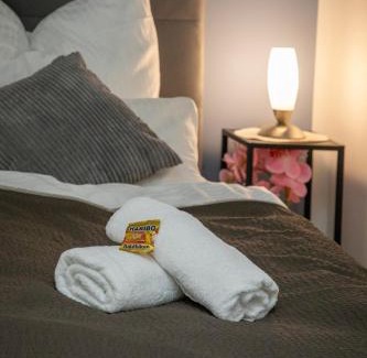 Wolfsburg Apartment | HANNIBAL - Design Apartment Lilie 2, VW Nähe, Parkplatz, Küche, HighSpeed-WLAN, Fitness, Solarium