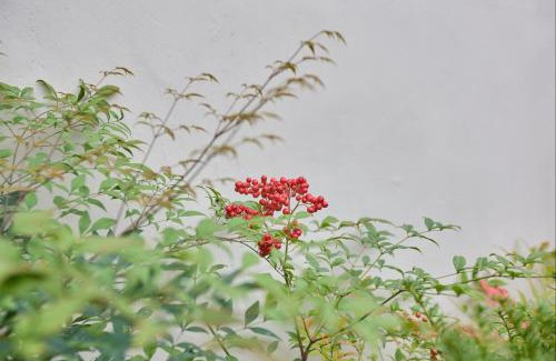 Andong Ski Chalet | Hanok spa stay 소연정