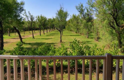 Torre Rinalda Other | Happy Camp Mobile Homes in Torre Rinalda