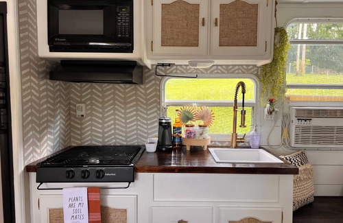 Candler House | Happy Hide-Away Camper{18 minutes to Downtown AVL}