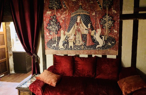 Dijon Centre Ville Apartment | Harry Potter Magic