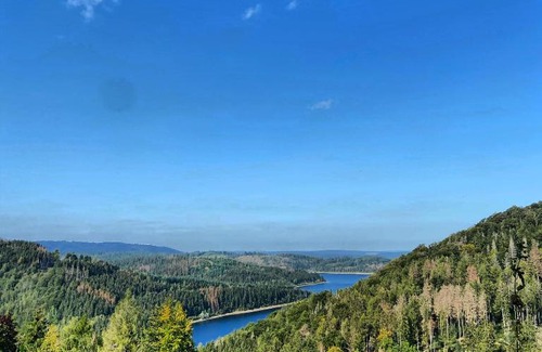 Bockswiese Apartment | Harzpur Lodge - Pure Entspannung in purer Natur