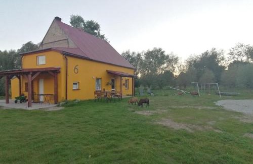 Witnica House | Haus 6 am Fluß