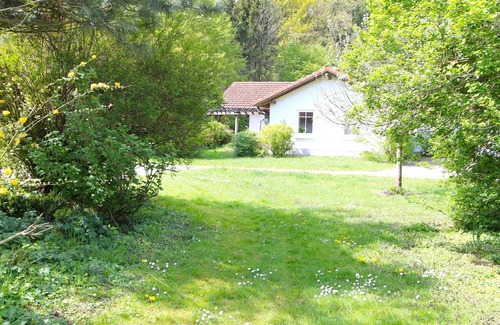 Am Salzhaff Cabin | >Haus am Wald No. 2Haus am Wald 2