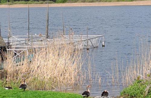 Lohmen Ski Chalet | Haus Barsch