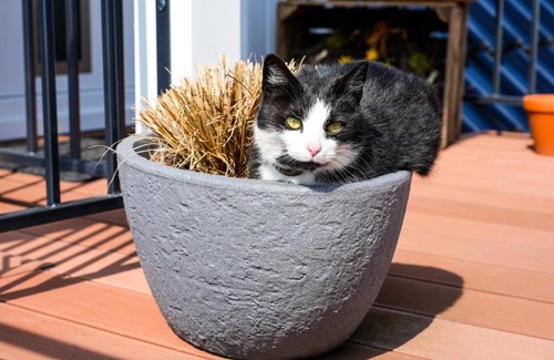 Stradow Apartment | Haus Jaeschke