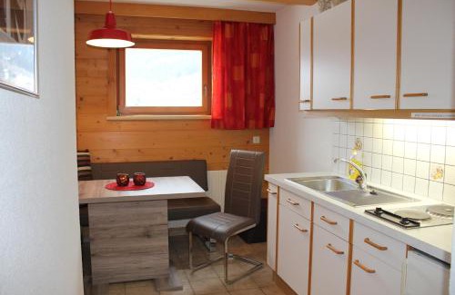 Sankt Gallenkirch Apartment | Haus Netzer Irma