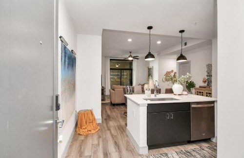 Braeswood Place Apartment | Haus of Blues* Walk to NRG* TX Med Center* Downtown
