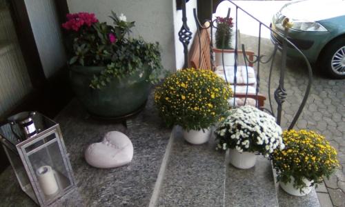 Ernst Bed & Breakfast | Haus Reitz