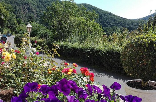 Bad Bertrich Apartment | Haus Schönblick