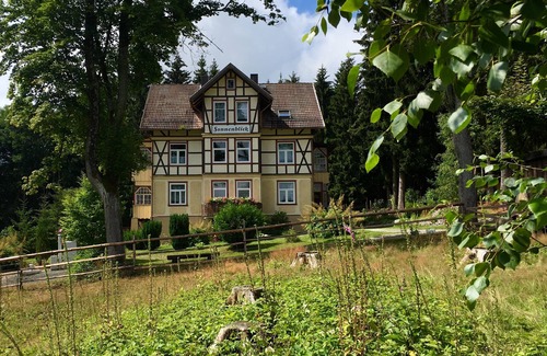 Benneckenstein Apartment | Haus Sonnenblick - FW HERZVOLL on the 1st floor for 2 persons +1