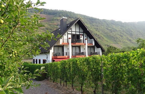 Ernst Apartment | HAUS WEINGARTEN vacation apartment "Relax" directly on the vineyards