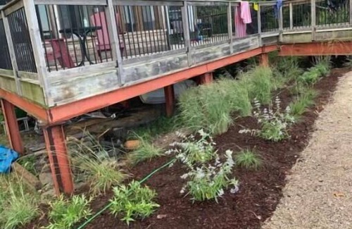 Kingsville Cottage | Healing Waters Retreat Quiet Modern lakeside Cottage, on South Pelee Island