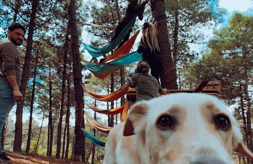 Sile RV Rental | Healthy and Natural Experience in the Forest of Istanbul!