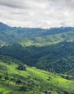 Lovedale Villa | Heath Cote