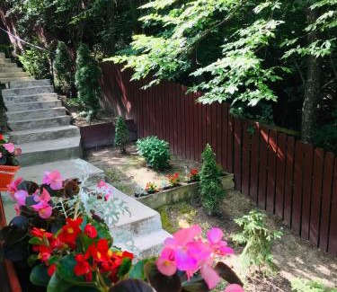 Praid House | Hegyi-lak vendégház