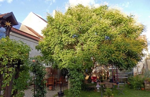 Muhlberg Apartment | Herberge Alte Meisterey - Einzelzimmer Online