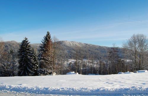 Josefov Dul Ski Chalet | Herberk U Modré křepelky