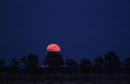 Faro House | Herdade dos Salgados do Fialho