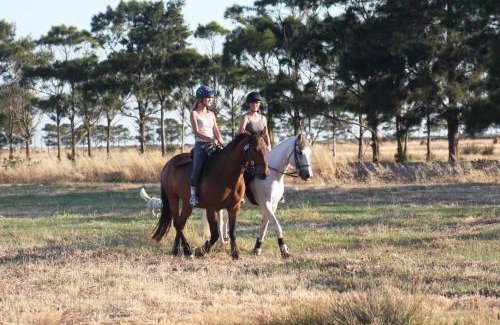 Faro House | Herdade dos Salgados do Fialho