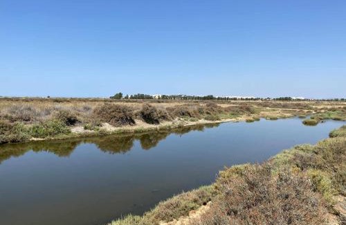 Faro House | Herdade dos Salgados do Fialho