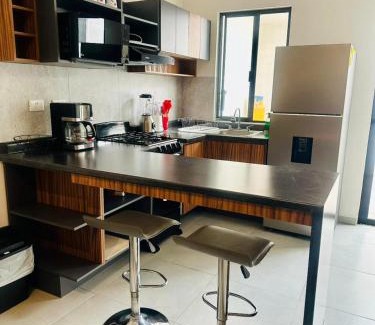 San Luis Potosi Apartment | Hermoso Departamento nuevo en Villa de Pozos