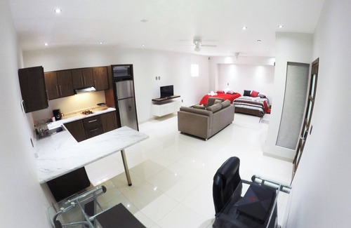 Zona Centro Apartment | Hermoso Lof't 4 Familiar, Centro DE LA Ciudad, AC, Wifi, Garage