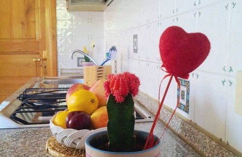 Barano d'Ischia House | Hibiskus cozy studio