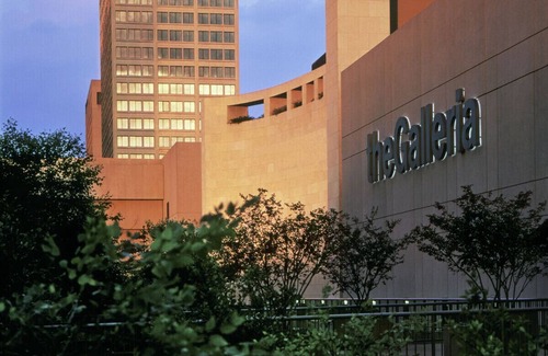 Astrodome Apartment | *Hidden Gem* cozy 1 bd/1bath NRG/TMC/DT/Zoo/Museums