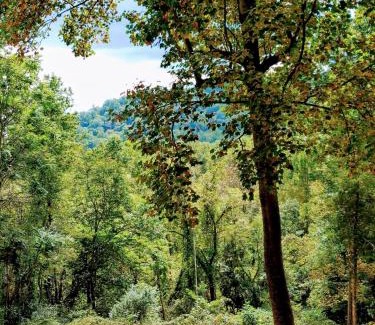 Linden House | Hidden Gem on Hidden Valley Lane