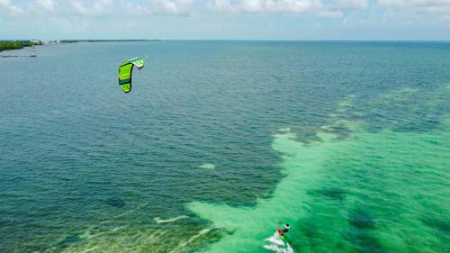 Caye Caulker Apartment | Hidden Treasure Vacation Home Bay Blue Suite 2