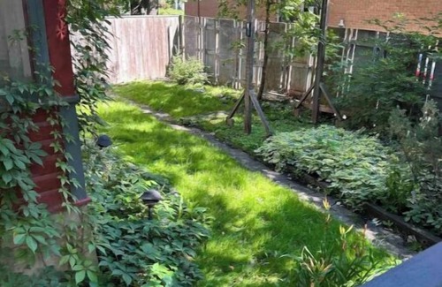Winnipeg House | Hidden Urban Oasisnn