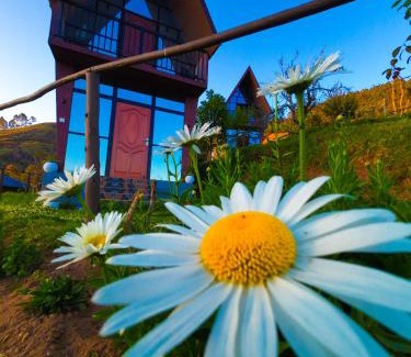 Vilpatti House | Hie Moksha Glamping