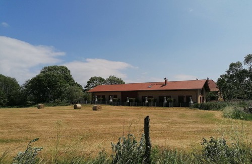 Meschendorf Apartment | Hier Finden Ruhesuchende und Naturliebhaber ihr Paradies!