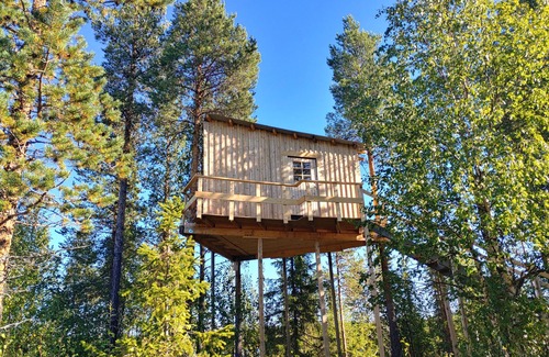 Arvidsjaur House | High in the trees in northern Sweden with lake views and moose under the terrace