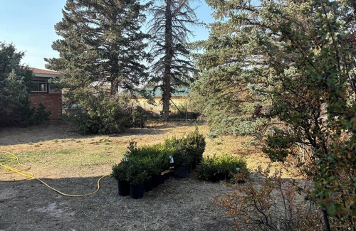 Laramie Cottage | High Plains Getaway 4-bedroom 2 full bath in Laramie.