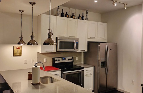 North Buckhead Condo | High Rise Penthouse Edifice "city view"