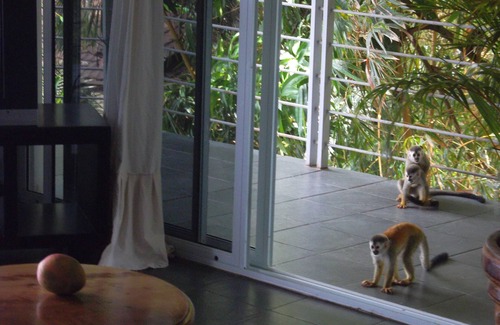 Quepos Condo | Hight-View on National-Park and Manuel-Antonio Bay