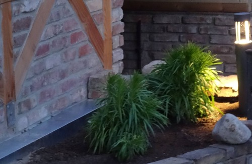 Buschvitz House | Hiking in Jasmund Nature Reserve Fishing, beach, cycling, boat trips