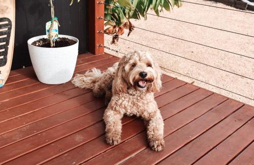 Binalong Bay House | Hilltop Hideaway ~ Bay of Fires