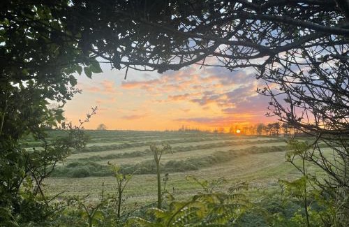 Liskeard House | Hillview Haven