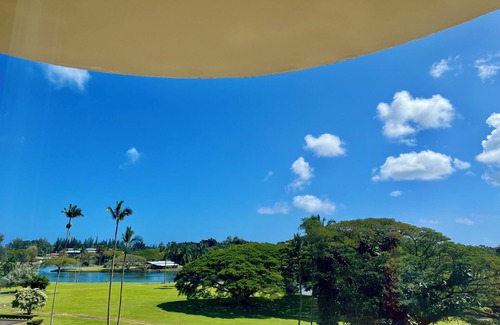 Hilo Apartment | Hilo Studio Retreat with Gorgeous Park View, AC, WiFi, Pool