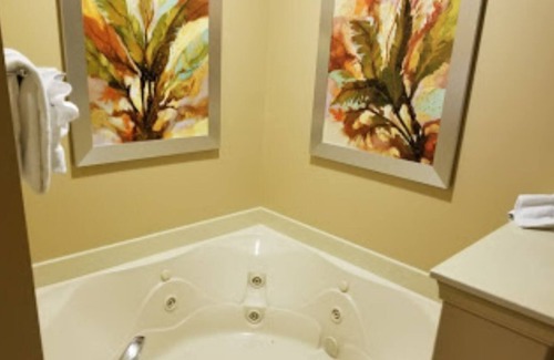 Williamsburg Condo | Historic Condor Unit A