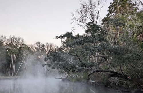 Homosassa Cottage | Historic Cottage minutes from the Homosassa River, Wildlife Park! Pet-friendly